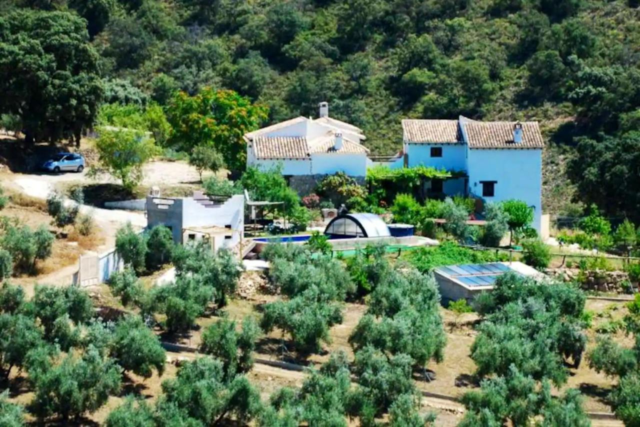 Elegant In With Pool And Garden * Granada